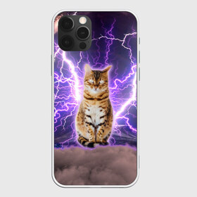 Чехол для iPhone 12 Pro Max с принтом Котушка Теслы в Курске, Силикон |  | cat | lightning | lightning cat | tesla | арт с котом | грозовой кошак | катушка теслы | кот | кот мем | котейка | котушка теслы | котяра | кошак | кошка | мем с котом | молнии | тесла