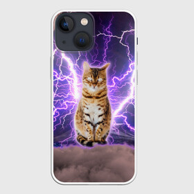 Чехол для iPhone 13 mini с принтом Котушка Теслы в Курске,  |  | cat | lightning | lightning cat | tesla | арт с котом | грозовой кошак | катушка теслы | кот | кот мем | котейка | котушка теслы | котяра | кошак | кошка | мем с котом | молнии | тесла