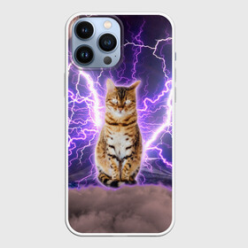 Чехол для iPhone 13 Pro Max с принтом Котушка Теслы в Курске,  |  | cat | lightning | lightning cat | tesla | арт с котом | грозовой кошак | катушка теслы | кот | кот мем | котейка | котушка теслы | котяра | кошак | кошка | мем с котом | молнии | тесла