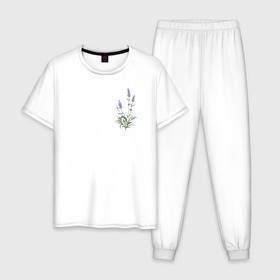 Мужская пижама хлопок с принтом Lavanda в Курске, 100% хлопок | брюки и футболка прямого кроя, без карманов, на брюках мягкая резинка на поясе и по низу штанин
 | лаванда | лавандовые цветы | милота | нежность | цветочки | цветы