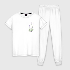 Женская пижама хлопок с принтом Lavanda в Курске, 100% хлопок | брюки и футболка прямого кроя, без карманов, на брюках мягкая резинка на поясе и по низу штанин | лаванда | лавандовые цветы | милота | нежность | цветочки | цветы