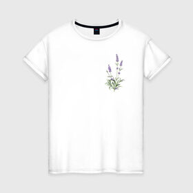 Женская футболка хлопок с принтом Lavanda в Курске, 100% хлопок | прямой крой, круглый вырез горловины, длина до линии бедер, слегка спущенное плечо | Тематика изображения на принте: лаванда | лавандовые цветы | милота | нежность | цветочки | цветы