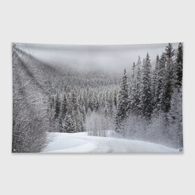 Флаг-баннер с принтом Зимняя природа в Курске, 100% полиэстер | размер 67 х 109 см, плотность ткани — 95 г/м2; по краям флага есть четыре люверса для крепления | winter | белый | зима | искусство | лес | природа | снег | снежная | текстура | текстуры