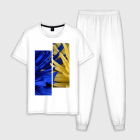 Мужская пижама хлопок с принтом Украинский акцент в Курске, 100% хлопок | брюки и футболка прямого кроя, без карманов, на брюках мягкая резинка на поясе и по низу штанин
 | жёлтый | намёк | пионы | синий | украина | украинский флаг | флаг | цвет | цвет флага | цветы