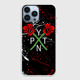 Чехол для iPhone 13 Pro Max с принтом PAYTON MOORMEIER   ТИКТОК в Курске,  |  | payton moormeier | tiktok | блогер | пейтон | пейтон моормиер | тикток | тиктокер | ютубер