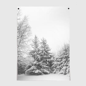 Постер с принтом Winter Storm в Курске, 100% бумага
 | бумага, плотность 150 мг. Матовая, но за счет высокого коэффициента гладкости имеет небольшой блеск и дает на свету блики, но в отличии от глянцевой бумаги не покрыта лаком | winter | белый | деревья | ели | ель | заснеженный | зима | зимний | искусство | лес | природа | снег | снежная | текстура | текстуры | шторм