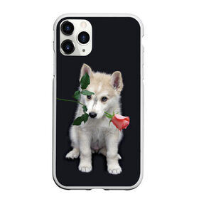 Чехол для iPhone 11 Pro Max матовый с принтом Щенок в подарок в Курске, Силикон |  | 8 марта щенок | husky | siberian husky | белый щенок | лайка | собака на день рождения | собака с розой | собака с цветком | хаски | щенок | щенок 8 марта | щенок лайки | щенок на 8 марта | щенок на день рождения