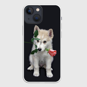 Чехол для iPhone 13 mini с принтом Щенок в подарок в Курске,  |  | Тематика изображения на принте: 8 марта щенок | husky | siberian husky | белый щенок | лайка | собака на день рождения | собака с розой | собака с цветком | хаски | щенок | щенок 8 марта | щенок лайки | щенок на 8 марта | щенок на день рождения