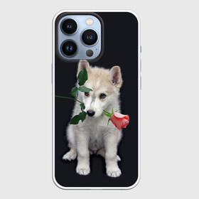 Чехол для iPhone 13 Pro с принтом Щенок в подарок в Курске,  |  | 8 марта щенок | husky | siberian husky | белый щенок | лайка | собака на день рождения | собака с розой | собака с цветком | хаски | щенок | щенок 8 марта | щенок лайки | щенок на 8 марта | щенок на день рождения