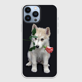 Чехол для iPhone 13 Pro Max с принтом Щенок в подарок в Курске,  |  | 8 марта щенок | husky | siberian husky | белый щенок | лайка | собака на день рождения | собака с розой | собака с цветком | хаски | щенок | щенок 8 марта | щенок лайки | щенок на 8 марта | щенок на день рождения