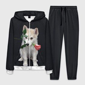 Мужской костюм 3D с принтом Щенок в подарок в Курске, 100% полиэстер | Манжеты и пояс оформлены тканевой резинкой, двухслойный капюшон со шнурком для регулировки, карманы спереди | Тематика изображения на принте: 8 марта щенок | husky | siberian husky | белый щенок | лайка | собака на день рождения | собака с розой | собака с цветком | хаски | щенок | щенок 8 марта | щенок лайки | щенок на 8 марта | щенок на день рождения