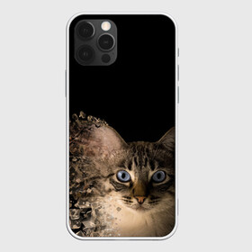 Чехол для iPhone 12 Pro с принтом Disintegrating Cat в Курске, силикон | область печати: задняя сторона чехла, без боковых панелей | cat | азулес | атомный кот | голубоглазая кошка | голубоглазый кот | голубоглазый котик | кот | кот к | кот распадающийся на атомы | кот с голубыми глазами | котик | котэ | кошак | кошачий портрет