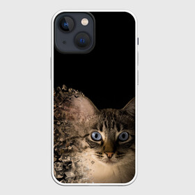 Чехол для iPhone 13 mini с принтом Disintegrating Cat в Курске,  |  | cat | азулес | атомный кот | голубоглазая кошка | голубоглазый кот | голубоглазый котик | кот | кот к | кот распадающийся на атомы | кот с голубыми глазами | котик | котэ | кошак | кошачий портрет