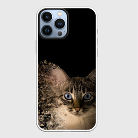 Чехол для iPhone 13 Pro Max с принтом Disintegrating Cat в Курске,  |  | cat | азулес | атомный кот | голубоглазая кошка | голубоглазый кот | голубоглазый котик | кот | кот к | кот распадающийся на атомы | кот с голубыми глазами | котик | котэ | кошак | кошачий портрет