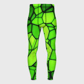 Мужские тайтсы 3D с принтом Зеленая мозаика в Курске,  |  | зеленая мозаика | зелень | мозаика | мозаичный узор | текстура | узор мозаика