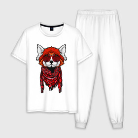 Мужская пижама хлопок с принтом Красная панда в Курске, 100% хлопок | брюки и футболка прямого кроя, без карманов, на брюках мягкая резинка на поясе и по низу штанин
 | Тематика изображения на принте: cool | cute | fashion | panda | red | в очках | забавная | красная | крутая | милая | модная | очки | панда | пандарен | пандочка | пандочки | панды | смешная | солнечные очки | улыбается