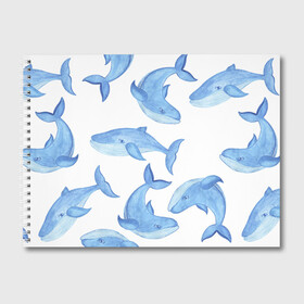 Альбом для рисования с принтом Косяк китов в Курске, 100% бумага
 | матовая бумага, плотность 200 мг. | Тематика изображения на принте: арт | карандашом | кит | киты | красками | море | моря | океан | океаны | под водой | рисунок