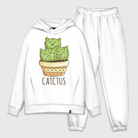 Мужской костюм хлопок OVERSIZE с принтом Catctus в Курске,  |  | art | cactus | cats | kittens | pot | арт | горшок | кактус | коты | котята | кошки