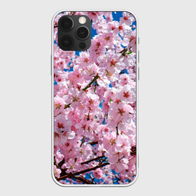 Чехол для iPhone 12 Pro Max с принтом Цветущая Сакура в Курске, Силикон |  | 8 марта | весна | вишня | женский день | лепестки | март | поздравления | праздник 8 марта | ромашки | сакура | цветок | цветочки | цветы | япония