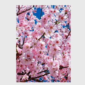 Скетчбук с принтом Цветущая Сакура в Курске, 100% бумага
 | 48 листов, плотность листов — 100 г/м2, плотность картонной обложки — 250 г/м2. Листы скреплены сверху удобной пружинной спиралью | Тематика изображения на принте: 8 марта | весна | вишня | женский день | лепестки | март | поздравления | праздник 8 марта | ромашки | сакура | цветок | цветочки | цветы | япония