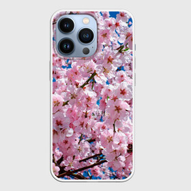 Чехол для iPhone 13 Pro с принтом Цветущая Сакура в Курске,  |  | Тематика изображения на принте: 8 марта | весна | вишня | женский день | лепестки | март | поздравления | праздник 8 марта | ромашки | сакура | цветок | цветочки | цветы | япония