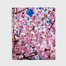 Тетрадь с принтом Цветущая Сакура в Курске, 100% бумага | 48 листов, плотность листов — 60 г/м2, плотность картонной обложки — 250 г/м2. Листы скреплены сбоку удобной пружинной спиралью. Уголки страниц и обложки скругленные. Цвет линий — светло-серый
 | Тематика изображения на принте: 8 марта | весна | вишня | женский день | лепестки | март | поздравления | праздник 8 марта | ромашки | сакура | цветок | цветочки | цветы | япония