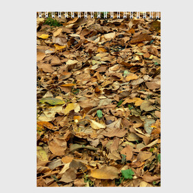 Скетчбук с принтом Листья в Курске, 100% бумага
 | 48 листов, плотность листов — 100 г/м2, плотность картонной обложки — 250 г/м2. Листы скреплены сверху удобной пружинной спиралью | земпля | искусство | лето | листва | листья | осень | природа | сухая | текстура | текстуры