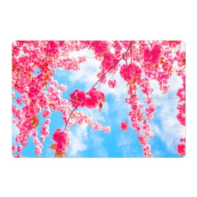 Магнитный плакат 3Х2 с принтом Цветение Вишни в Курске, Полимерный материал с магнитным слоем | 6 деталей размером 9*9 см | Тематика изображения на принте: flowers | pink | бутоны | весна | вишня | дерево | листья | небо | облака | природа | розовый | сакура | солнце | цветение | цветочки | цветы