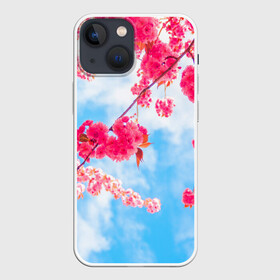 Чехол для iPhone 13 mini с принтом Цветение Вишни в Курске,  |  | flowers | pink | бутоны | весна | вишня | дерево | листья | небо | облака | природа | розовый | сакура | солнце | цветение | цветочки | цветы