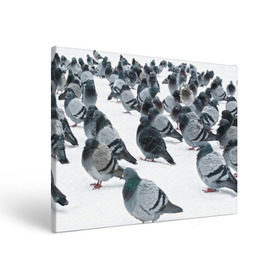 Холст прямоугольный с принтом Голуби в Курске, 100% ПВХ |  | bird | pigeon | russia | snow | winter | голубь | животные | зима | курлык | птицы | россия | снег | текстура | фон | фотография