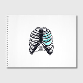 Альбом для рисования с принтом X-Ray в Курске, 100% бумага
 | матовая бумага, плотность 200 мг. | bone | bones | chest | heart | hearts | love | organ | organs | ribs | skeleton | x ray | грудная клетка | кости | кость | орган | органы | ребра | рентген | сердца | сердце | скелет