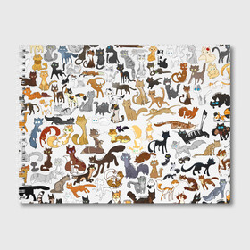 Альбом для рисования с принтом Котоколлаж 01 в Курске, 100% бумага
 | матовая бумага, плотность 200 мг. | детей | для | игра | интересная | киса | киска | коллаж | кот | котенок | котик | котоколлаж | кошак | кошечка | кошка | любимка | много | мультик | мультфильм | мур | прикольная | разноцветный
