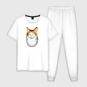 Мужская пижама хлопок с принтом ГНЕГ в Курске, 100% хлопок | брюки и футболка прямого кроя, без карманов, на брюках мягкая резинка на поясе и по низу штанин
 | гнег | ирония | котэ | мем | мемы про котов | мета | постирония | прикол | ржака
