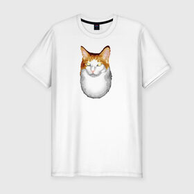 Мужская футболка премиум с принтом ГНЕГ в Курске, 92% хлопок, 8% лайкра | приталенный силуэт, круглый вырез ворота, длина до линии бедра, короткий рукав | гнег | ирония | котэ | мем | мемы про котов | мета | постирония | прикол | ржака