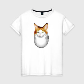 Женская футболка хлопок с принтом ГНЕГ в Курске, 100% хлопок | прямой крой, круглый вырез горловины, длина до линии бедер, слегка спущенное плечо | гнег | ирония | котэ | мем | мемы про котов | мета | постирония | прикол | ржака