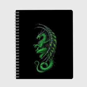 Тетрадь с принтом Green Dragon в Курске, 100% бумага | 48 листов, плотность листов — 60 г/м2, плотность картонной обложки — 250 г/м2. Листы скреплены сбоку удобной пружинной спиралью. Уголки страниц и обложки скругленные. Цвет линий — светло-серый
 | Тематика изображения на принте: beast | dinosaur | dragon | fire | hunter | ice | monster | predator | reptile | динозавр | дракон | зверь | лед | ледяной | монстр | огненный | огонь | охотник | хищник