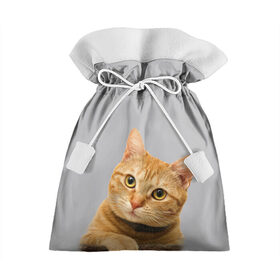 Подарочный 3D мешок с принтом Рыжий котик в Курске, 100% полиэстер | Размер: 29*39 см | baby | cat | kitty | глаза | голова | животные | зверь | кот | котенок | котики | кошки | лапы | малыш | полосатый | рыжий