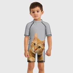 Детский купальный костюм 3D с принтом Рыжий котик в Курске, Полиэстер 85%, Спандекс 15% | застежка на молнии на спине | baby | cat | kitty | глаза | голова | животные | зверь | кот | котенок | котики | кошки | лапы | малыш | полосатый | рыжий