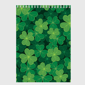 Скетчбук с принтом Ирландский клевер в Курске, 100% бумага
 | 48 листов, плотность листов — 100 г/м2, плотность картонной обложки — 250 г/м2. Листы скреплены сверху удобной пружинной спиралью | clover | day | ireland.lucky | irish | patrick | patricks | shamrock | день | зеленая | зеленый | ирландский | клевер | купить | патрик | патрика | святого | святой