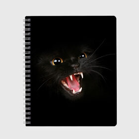 Тетрадь с принтом Злой Котик в Курске, 100% бумага | 48 листов, плотность листов — 60 г/м2, плотность картонной обложки — 250 г/м2. Листы скреплены сбоку удобной пружинной спиралью. Уголки страниц и обложки скругленные. Цвет линий — светло-серый
 | angry | animal | animals | beast | black | cat | kitten | британец | британка | животное | животные | зверек | зверь | злая | злой | кот | котейка | котенок | котэ | кошка | кошки | черная