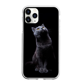 Чехол для iPhone 11 Pro Max матовый с принтом Кот Британец в Курске, Силикон |  | animal | animals | beast | black | cat | kitten | британец | британка | животное | животные | зверек | зверь | кот | котейка | котенок | котики | котэ | кошка | кошки | черная