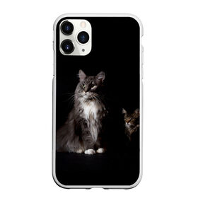 Чехол для iPhone 11 Pro Max матовый с принтом Котики в Курске, Силикон |  | animal | animals | beast | black | cat | kitten | животное | животные | зверек | зверь | кот | котейка | котенок | котики | котэ | кошка | кошки | мейн кун | черная