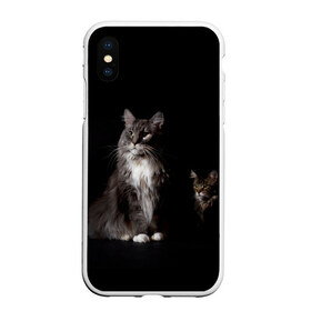 Чехол для iPhone XS Max матовый с принтом Котики в Курске, Силикон | Область печати: задняя сторона чехла, без боковых панелей | animal | animals | beast | black | cat | kitten | животное | животные | зверек | зверь | кот | котейка | котенок | котики | котэ | кошка | кошки | мейн кун | черная
