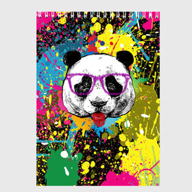 Скетчбук с принтом Панда хипстер в брызгах краски в Курске, 100% бумага
 | 48 листов, плотность листов — 100 г/м2, плотность картонной обложки — 250 г/м2. Листы скреплены сверху удобной пружинной спиралью | Тематика изображения на принте: hipster | panda | брызги | в очках | краска | краски | красок | крутая | милая | модная | очки | панда | показывает язык | пятна | хипстер | экспрессионизм | язык | яркая | яркие