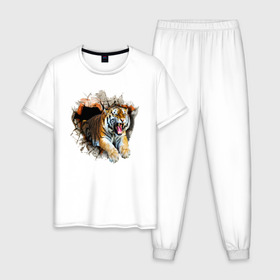Мужская пижама хлопок с принтом Тигр в Курске, 100% хлопок | брюки и футболка прямого кроя, без карманов, на брюках мягкая резинка на поясе и по низу штанин
 | animal | tiger | арт | животное | полосатый | рисунок | тигр | хищная кошка | хищник