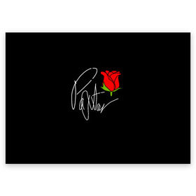 Поздравительная открытка с принтом PAYTON MOORMEIER в Курске, 100% бумага | плотность бумаги 280 г/м2, матовая, на обратной стороне линовка и место для марки
 | flower | payton moormeier | roses | tiktok | блогер | пейтон | пейтон моормиер | розы | тикток | тиктокер | цветы | ютубер