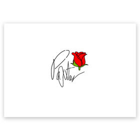Поздравительная открытка с принтом PAYTON MOORMEIER в Курске, 100% бумага | плотность бумаги 280 г/м2, матовая, на обратной стороне линовка и место для марки
 | flower | payton moormeier | roses | tiktok | блогер | пейтон | пейтон моормиер | розы | тикток | тиктокер | цветы | ютубер
