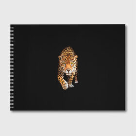 Альбом для рисования с принтом Ягуар в Курске, 100% бумага
 | матовая бумага, плотность 200 мг. | Тематика изображения на принте: animal | art | black | cat | hunter | jaguar | leopard | арт | гепард | голова | животное | животные | зверь | клыки | кот | кошка | леопард | охотник | темнота | хищник | ягуар