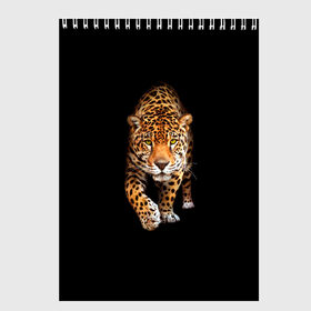 Скетчбук с принтом Ягуар в Курске, 100% бумага
 | 48 листов, плотность листов — 100 г/м2, плотность картонной обложки — 250 г/м2. Листы скреплены сверху удобной пружинной спиралью | Тематика изображения на принте: animal | art | black | cat | hunter | jaguar | leopard | арт | гепард | голова | животное | животные | зверь | клыки | кот | кошка | леопард | охотник | темнота | хищник | ягуар