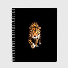 Тетрадь с принтом Ягуар в Курске, 100% бумага | 48 листов, плотность листов — 60 г/м2, плотность картонной обложки — 250 г/м2. Листы скреплены сбоку удобной пружинной спиралью. Уголки страниц и обложки скругленные. Цвет линий — светло-серый
 | Тематика изображения на принте: animal | art | black | cat | hunter | jaguar | leopard | арт | гепард | голова | животное | животные | зверь | клыки | кот | кошка | леопард | охотник | темнота | хищник | ягуар